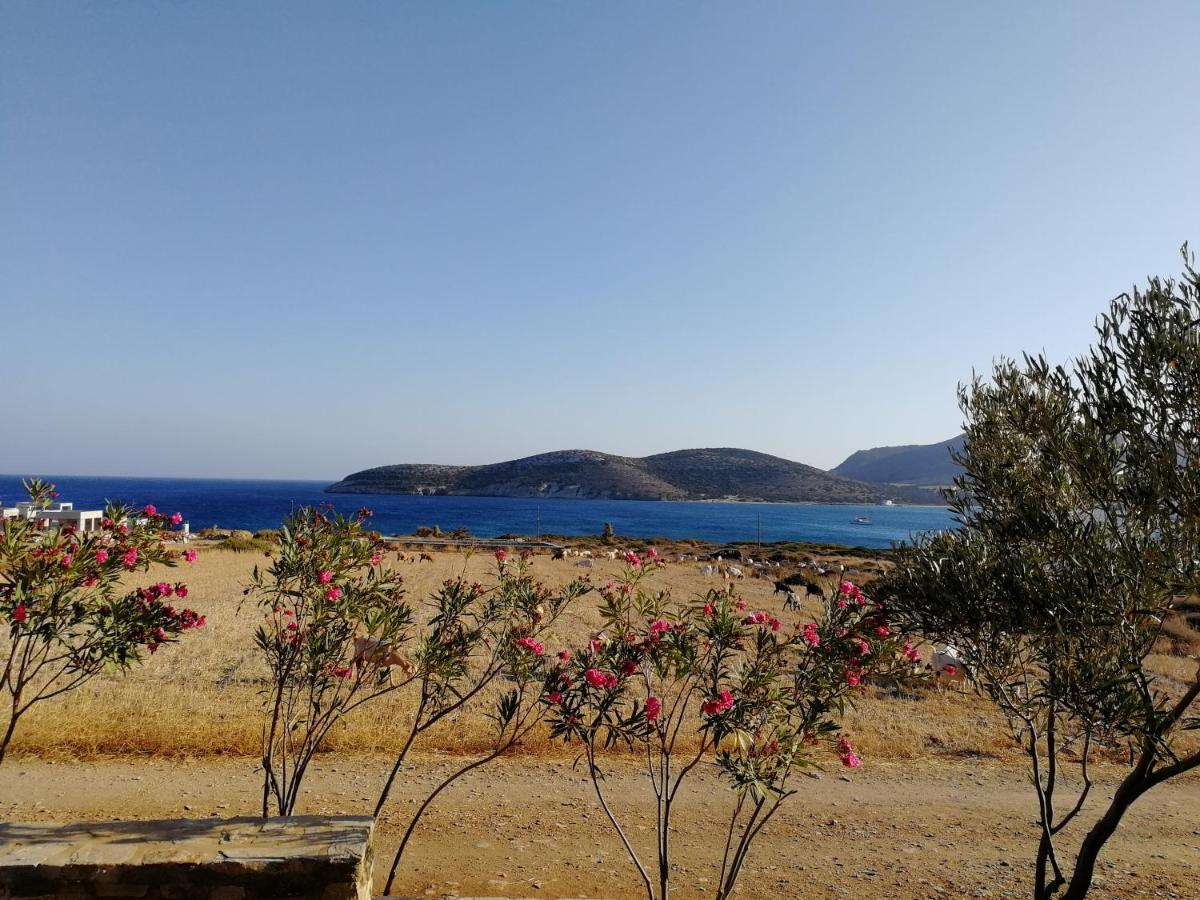 Gio St Gio Apartment 1 Antiparos St.Giorgio Екстериор снимка